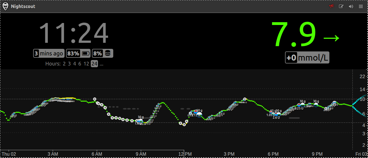 24 hours blood glucose in nightscout
